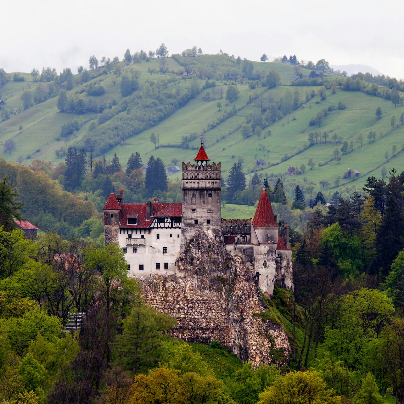 Dracula's Castle: Fast Track - Photo 1 of 6