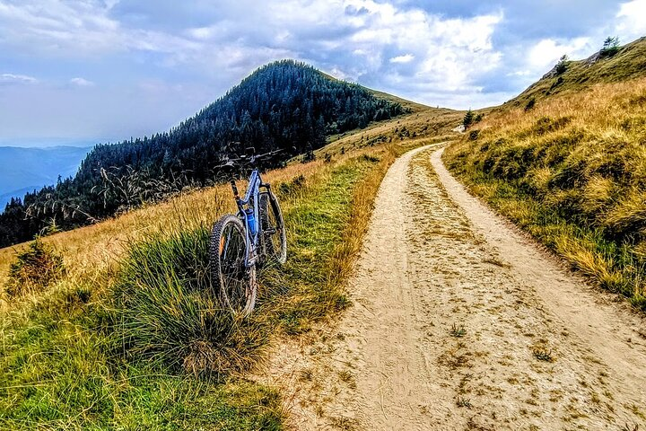 E-Bike Private Tour to the Roof of Bucegi Montain  - Photo 1 of 8