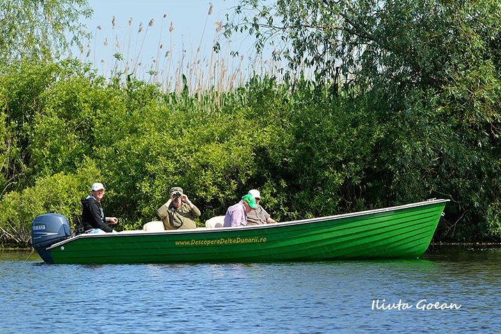 Danube Delta Birdwatching Day Trip 