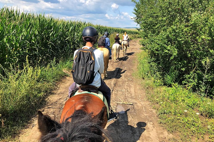 Horseback riding through corn fields!