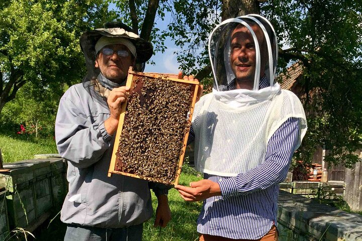 In Viscri from Brașov, a Special Beekeeper and his Work  - Photo 1 of 15