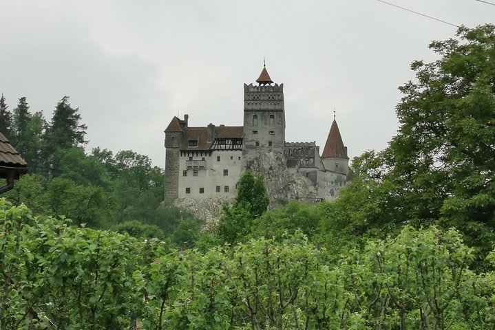 Libearty Brown Bears Sanctuary & Dracula Castle in one day! - Photo 1 of 25