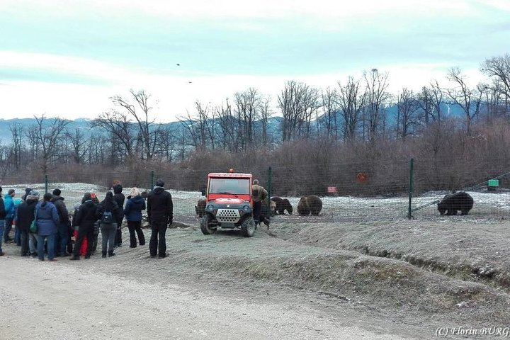 LiBEARty - the Brown Bear Sanctuary from Zarnesti - Photo 1 of 8