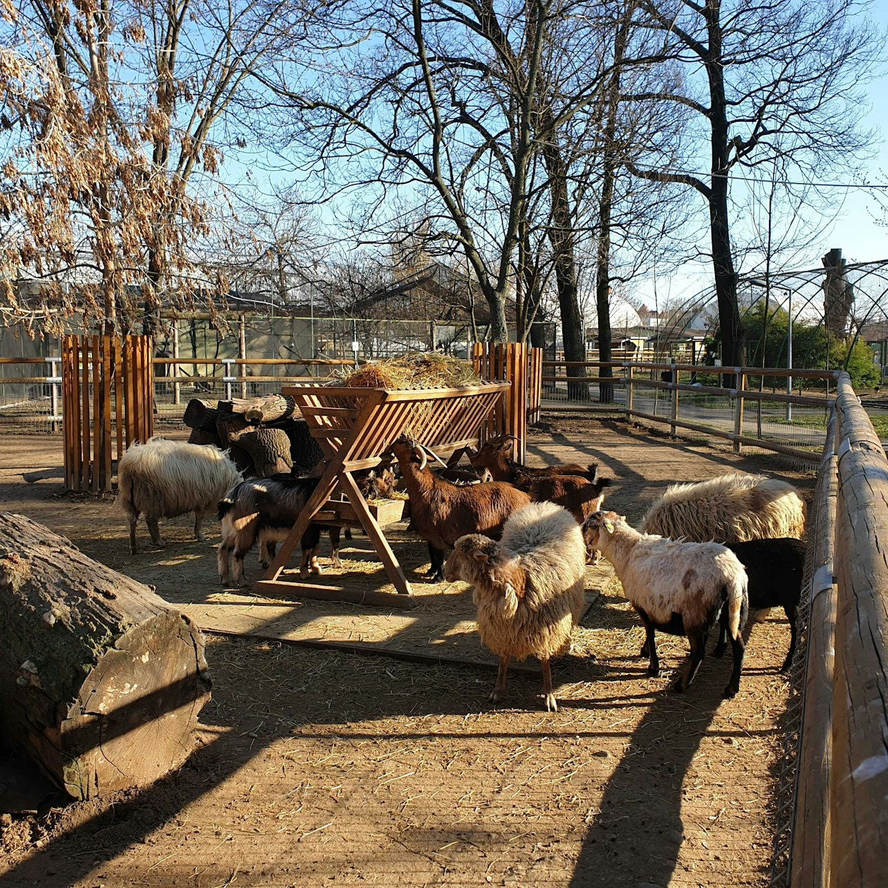 Oradea Zoo: Meet & Greet - Photo 1 of 6