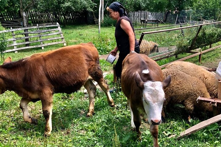 Original Carpathian Village Experience and Sinaia in one day tour - Photo 1 of 25