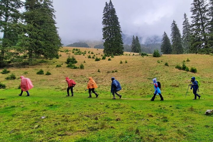 Hiking at the border of Piatra Craiului National Park