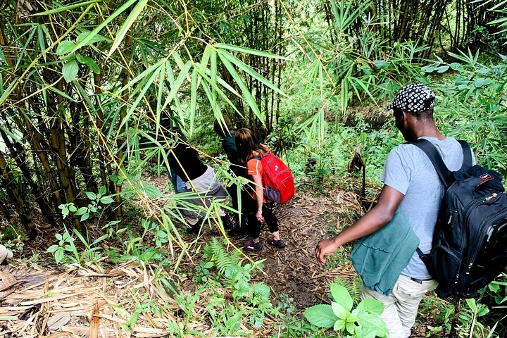 Hiking Binana Mountain & Waterfalls in Rwanda - Photo 1 of 6