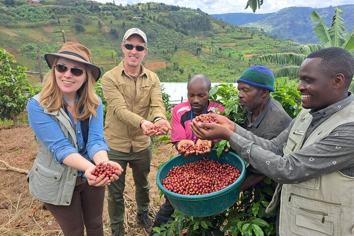 Tea and coffee tours  - Photo 1 of 5