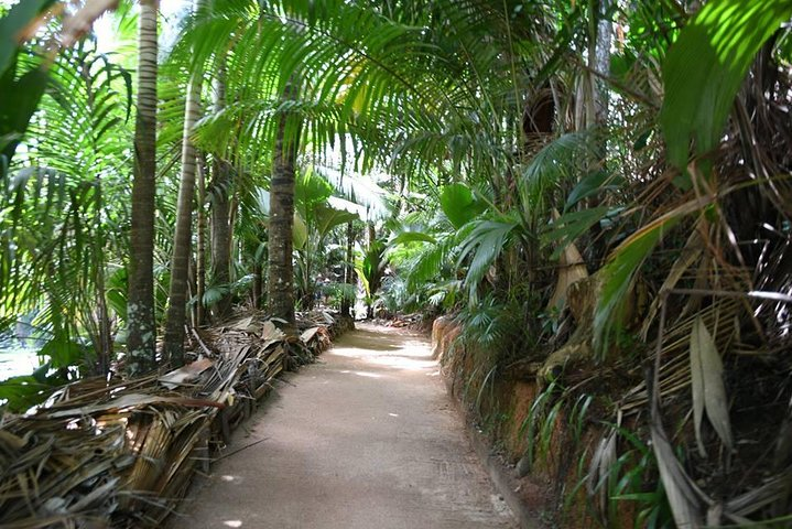 Path along Valle De Mai