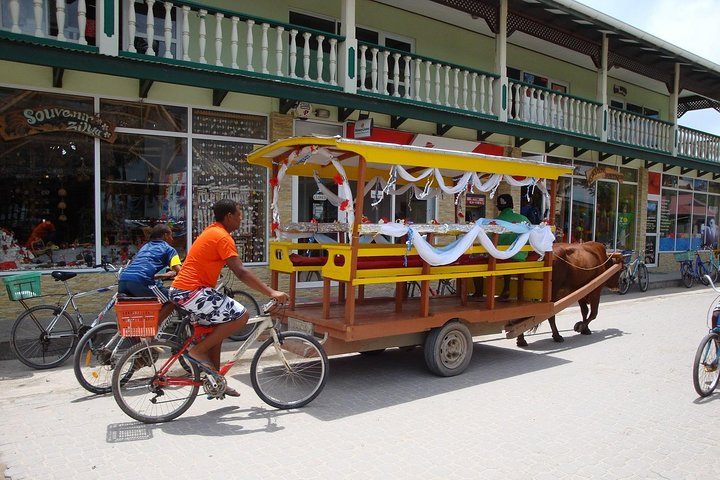 La Digue - Ox Cart n Bicycle