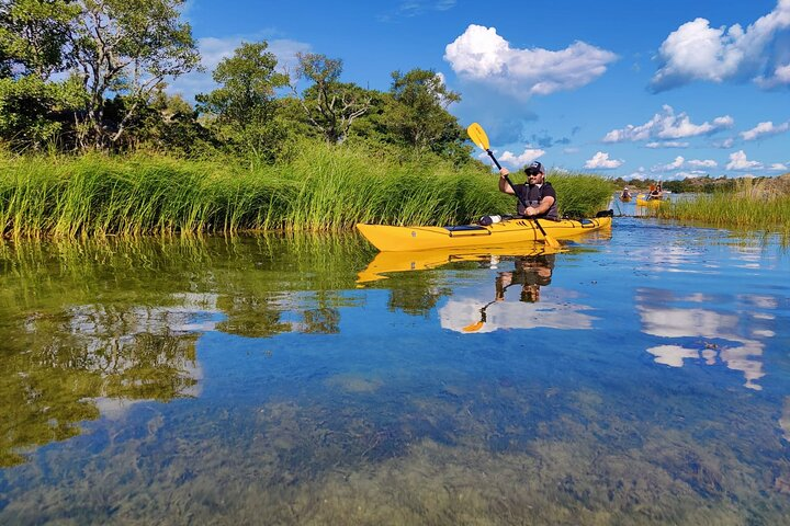 1-Day Small-Group Stockholm Archipelago Kayak Tour - Photo 1 of 19