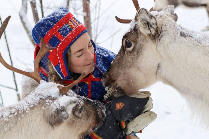 Full-Day Reindeer Tour with Pickup in Kiruna - Photo 1 of 25