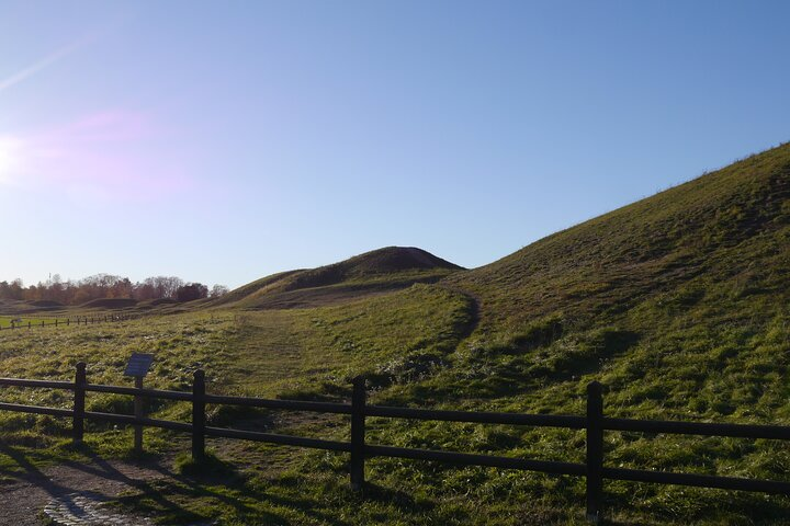 Guided tour 90min at Old Uppsala mounds and old Uppsala church - Photo 1 of 4