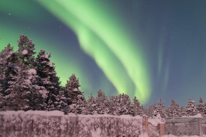 Husky Sled Ride Northern Lights Tour from Kiruna - Photo 1 of 3