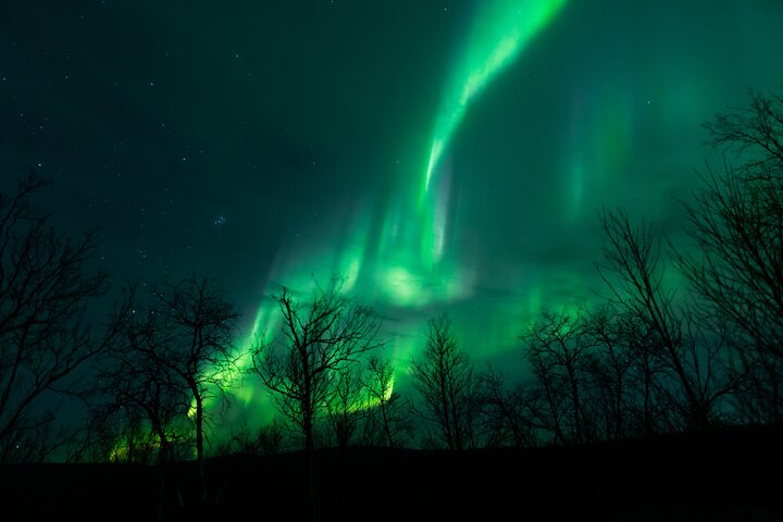 Northern Lights Tour from Kiruna to Abisko with Dinner - Photo 1 of 13