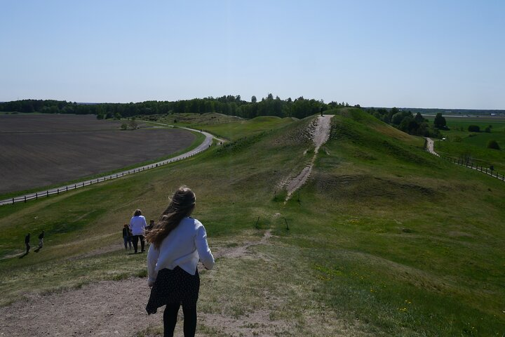 Private 1h tour of famous Old Uppsala mounds and mediveal church - Photo 1 of 3