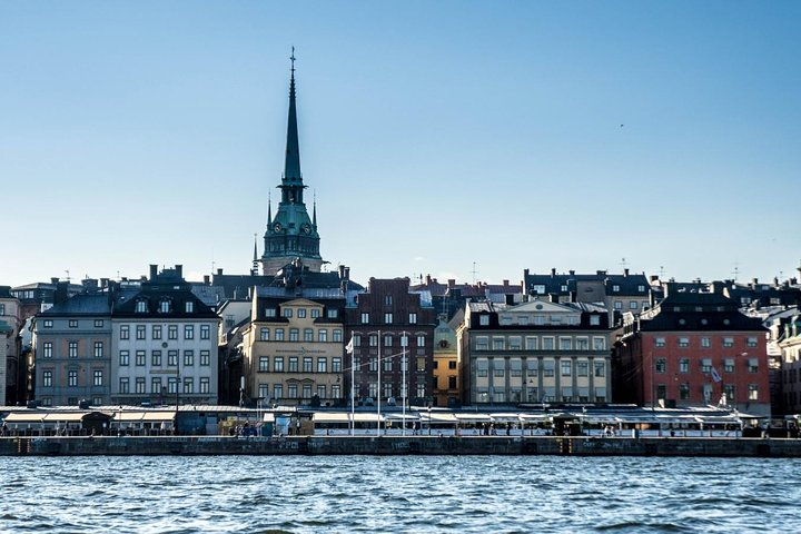 Private Car Tour of Stockholm with a Live guide, including the Vasa museum.  - Photo 1 of 6