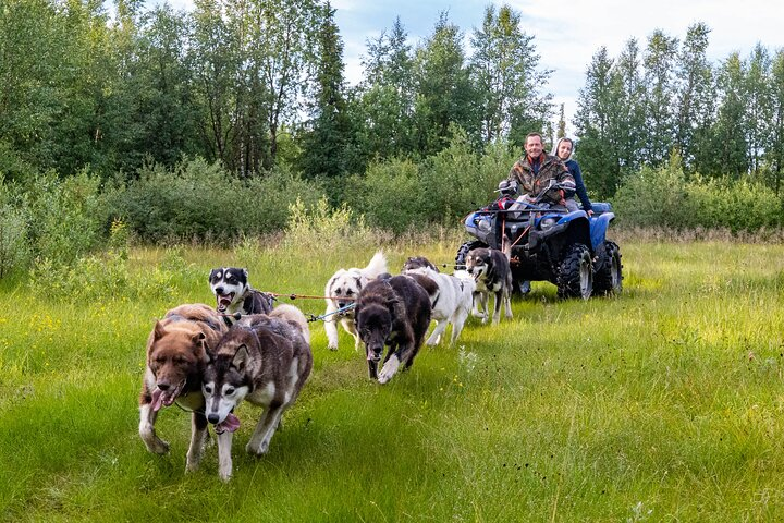 Private Kennel Visit and ATV Tour with the Huskies - Photo 1 of 13