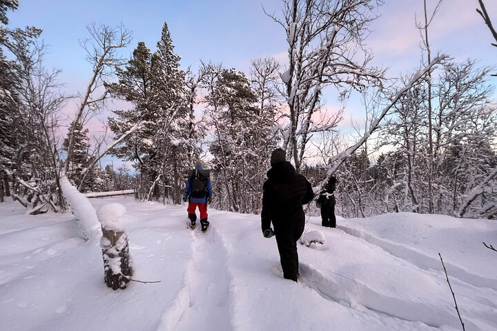 Snowshoe in a Winter Forest - Photo 1 of 10