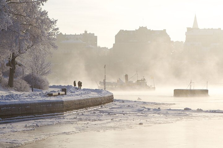 Experience the serene beauty of Stockholm’s icy landscape as you glide past snowy shores with warm beverages and light snacks creating the perfect setting for winter exploration.