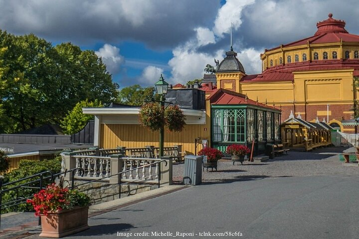 Stockholm’s Viking & Skansen Museums: Private Tour inc. tickets - Photo 1 of 6