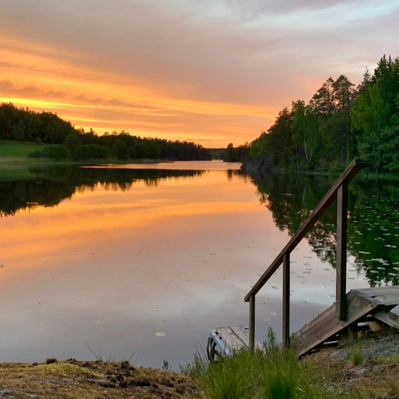 Sunset Hike in Tyresta National Park - Photo 1 of 9