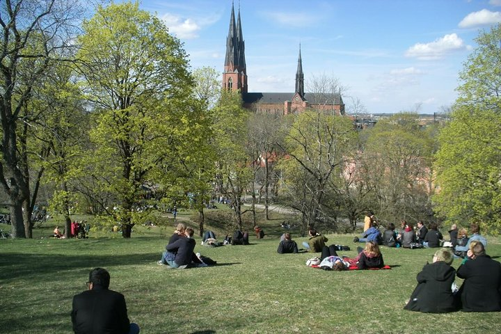 Enjoying spring and a view of Uppsala cathedral