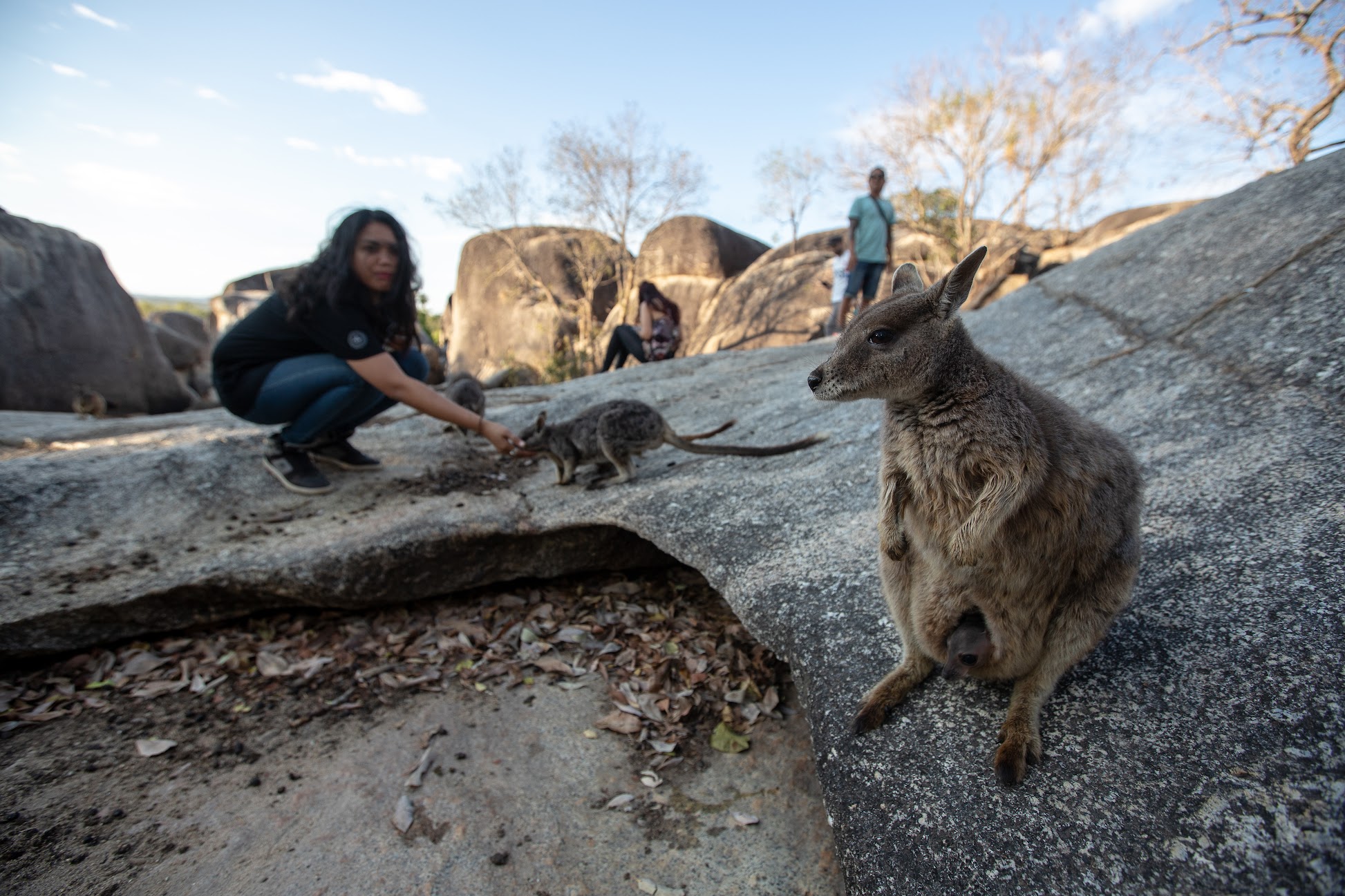 Chillagoe Caves and Outback Tour from Cairns - Photo 1 of 10