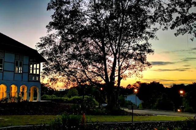 Sunrise at Atbara, Singapore Botanic Gardens.