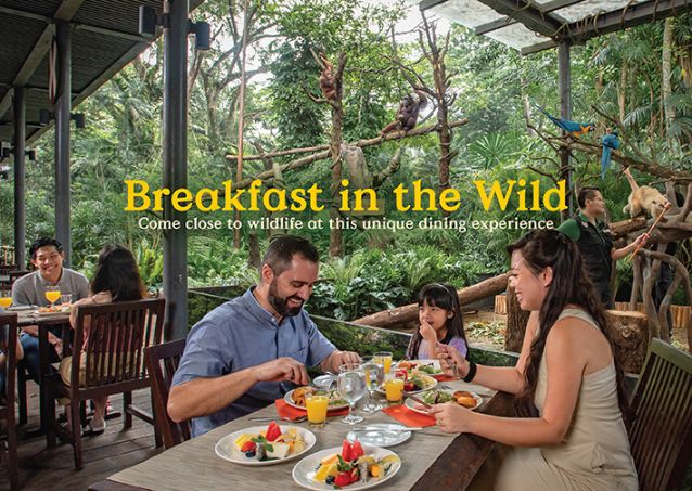 Breakfast in the Wild at Singapore Zoo - Photo 1 of 5