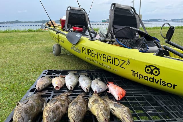 Full Day Kayak Fishing Rental - Photo 1 of 2