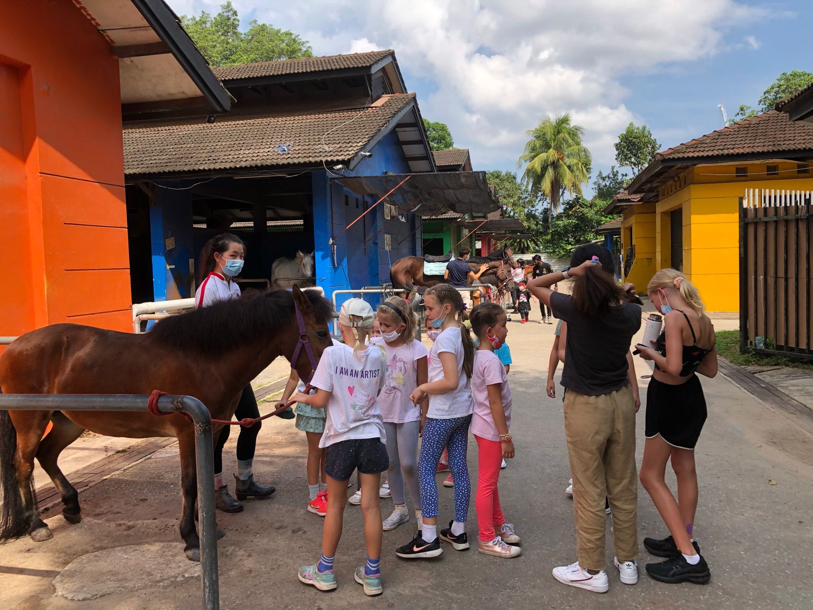 Glamping Experience at Bukit Timah Horsecity - Photo 1 of 5