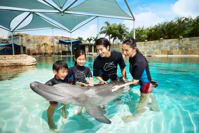 Dolphin Island Singapore Tickets - Photo 1 of 10