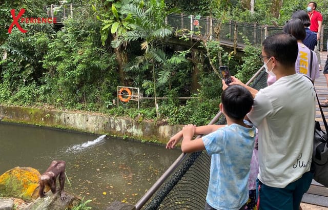 Singapore Zoo-Declassified! Tour - Photo 1 of 10