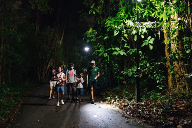 Rainforest Wildlife Naturalist Adventure Walking Tour - Photo 1 of 10