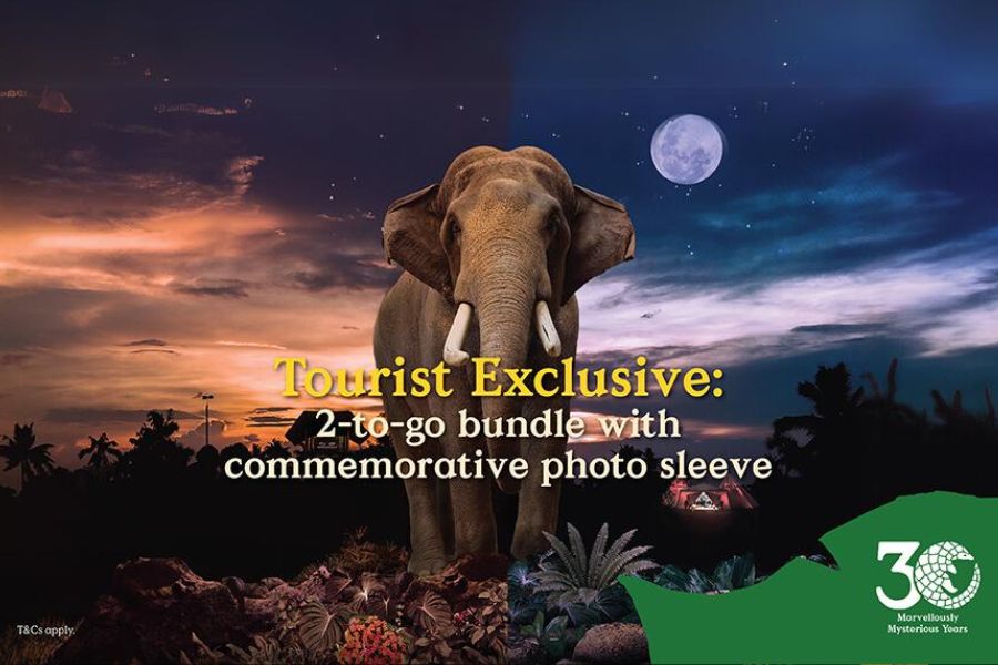 night safari ticket promo