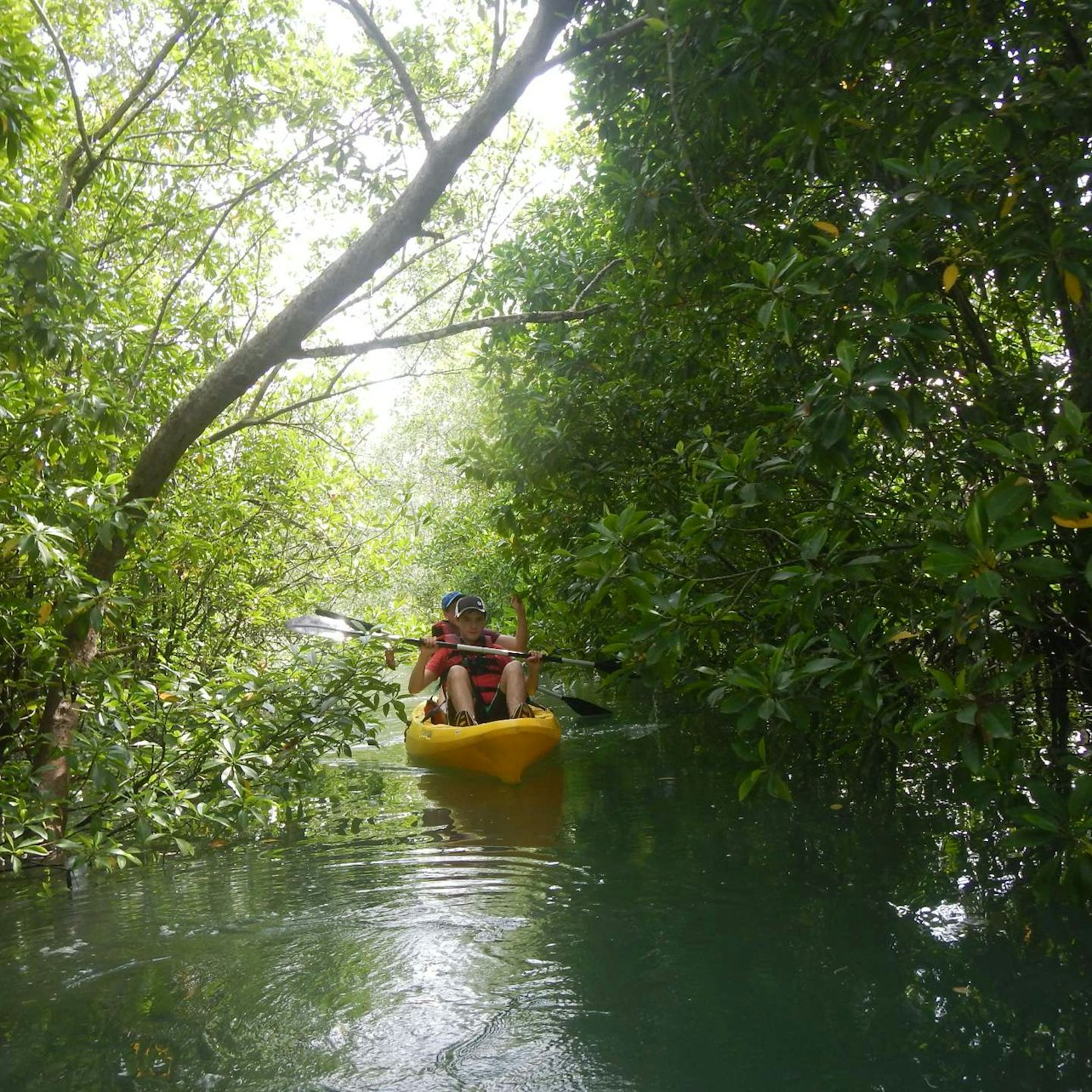 Pulau Ubin Kayaking & Cycling Full-Day Tour with Lunch - Photo 1 of 6