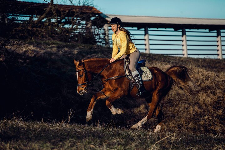 1-Hour Small-Group Horseback Riding Guided Activity from Ljubljana - Photo 1 of 6