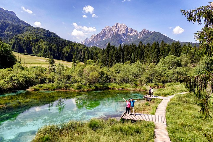 Zelenci springs