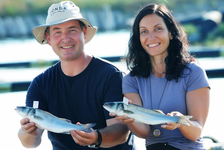 An Unforgettable Day With Fish, Wine and Olive Oil Tasting  - Photo 1 of 12