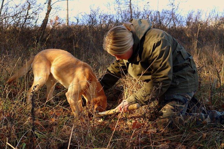 Private Truffle Hunting in Slovenia with meal - Zdenko Tartufi - Photo 1 of 9