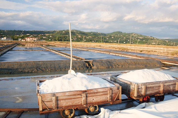 Skocjan caves & Secovlje salt pans | Private off cruise excursion from Koper - Photo 1 of 5