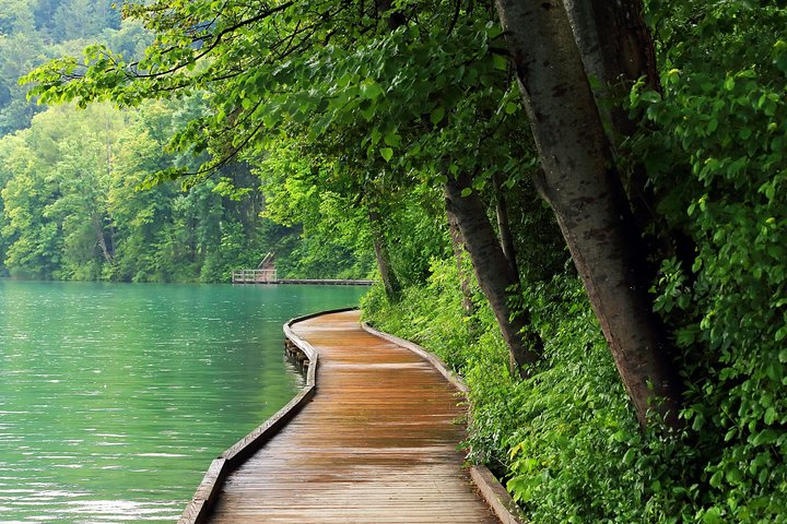 Slovenia in One Day: Small-Group Day Trip to Lake Bled, Postojna Cave and Predjama Castle from Ljubljana - Photo 1 of 10