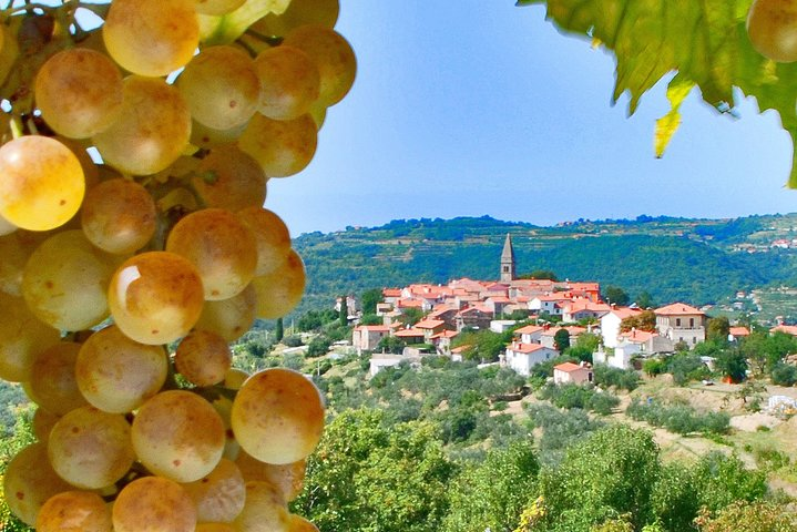 Slovenian Istria | Private off cruise excursion from Koper - Photo 1 of 4