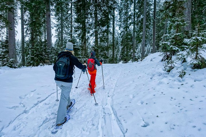 snowshoeing