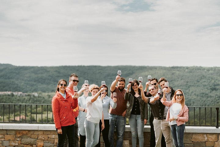 Wine Tours in Slovenia - Photo 1 of 6