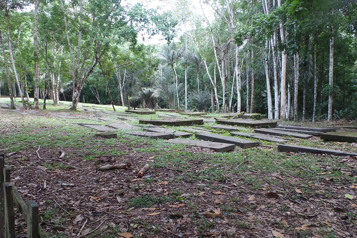 2-Day Jodensavanne and Overbridge from Paramaribo - Photo 1 of 8