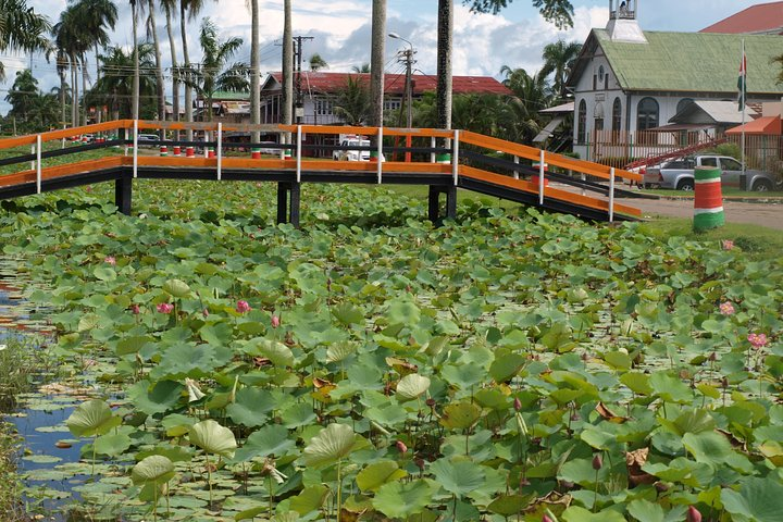 2-Day Tour Nickerie with a Boat Trip in Bigipan - Photo 1 of 9