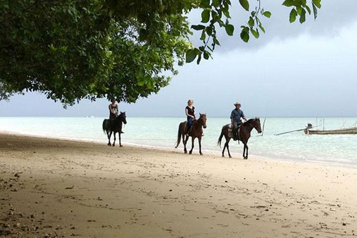 1 Hour Horse Riding Tour On The Beach Krabi - Photo 1 of 14