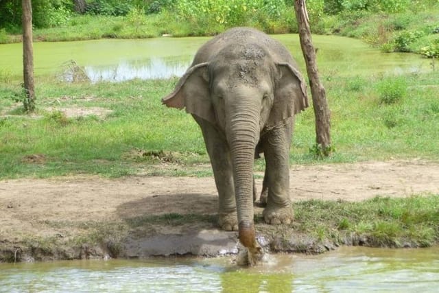 2 day 1 night Elephant World Kanchanaburi from Bangkok - Photo 1 of 13